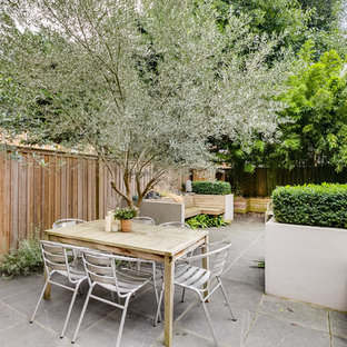 This is an example of a medium sized contemporary back garden in London with a potted garden.