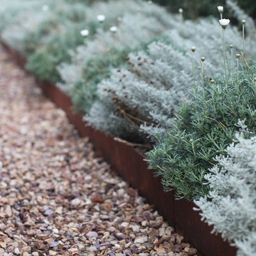 Steel Garden Edging - A feature Border