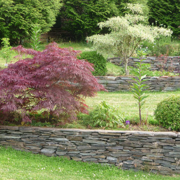 Stone walls with Maple and Dogwood
