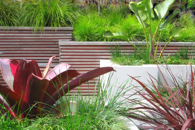 Moderner Garten in Auckland
