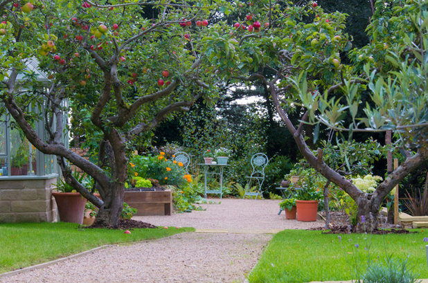 Traditional Garden by Phil Hirst Garden Design