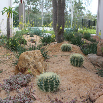 Succulent gardens