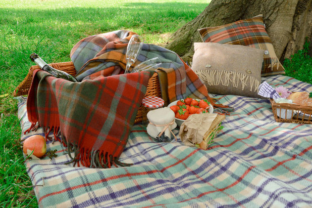 Trendy Have by The Tartan Blanket Co.