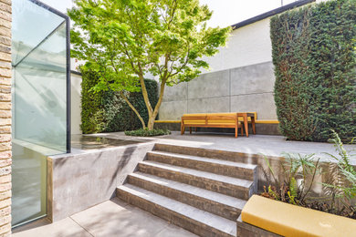 Photo of a contemporary garden in London.