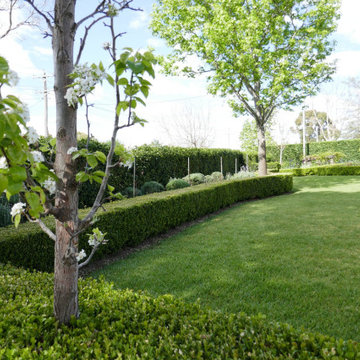 Wisteria and Perennial Border