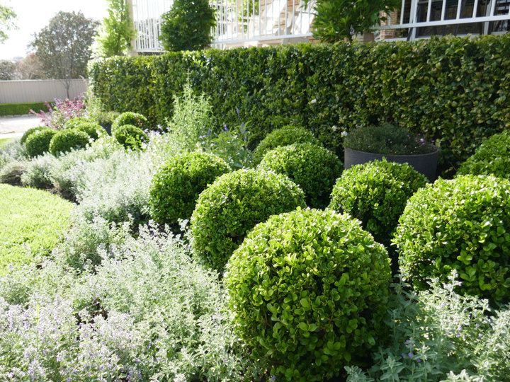Ideas for a large farmhouse's springtime landscaping in the full sun.