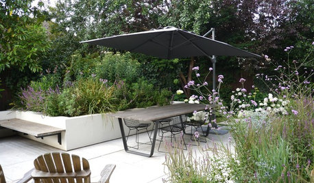 7 Ideas for Creating Shelter in your Garden
