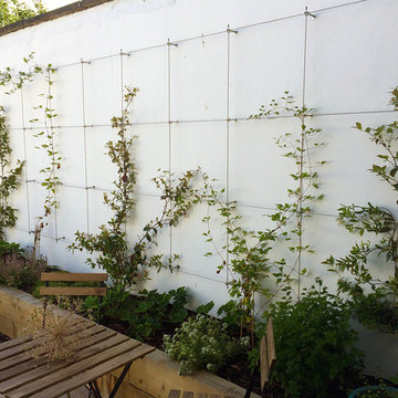 Tensioned wire trellis