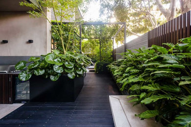 Mittelgroßer Moderner Garten hinter dem Haus in Melbourne