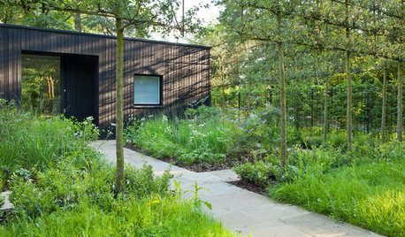 Ratgeber Gartengestaltung: Tipps von Experten