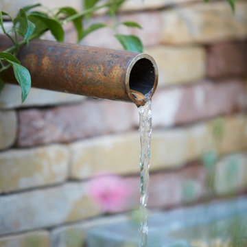 The Lemon Tree Trust Garden