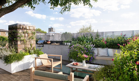 Before and After: Gardens and Patios Transform 3 City Rooftops