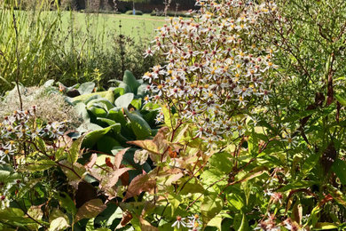 サリーにあるラグジュアリーな巨大な、春のトラディショナルスタイルのおしゃれな庭 (日向、砂利舗装) の写真