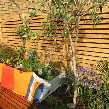 75 Beautiful South Facing Garden Home Design Ideas & Designs | Houzz AU