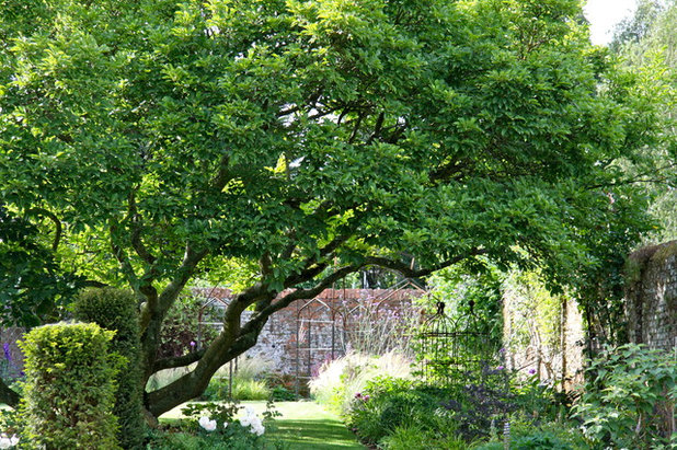 Traditional Garden by Marian Boswall Landscape Architects