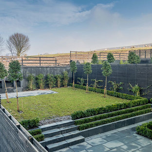 Inspiration for a contemporary back full sun garden in Manchester with concrete paving.