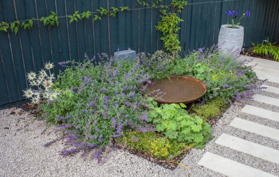 The Contemplative Garden: A Place for Quiet Reflection