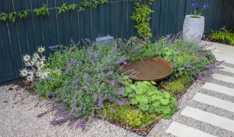 The Contemplative Garden: A Place for Quiet Reflection