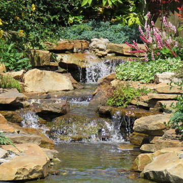 The Town Water Garden