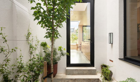 16 Peaceful Interior Courtyards to Inspire Your Renovation