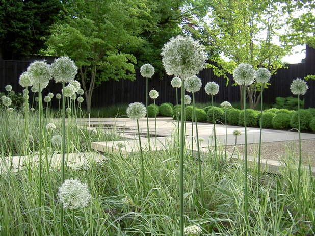 Modern Garten by Annie Pearce