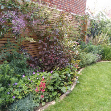 Tiny backgarden