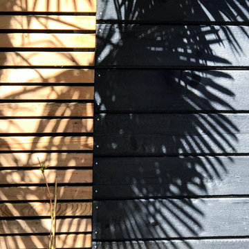 Tiny courtyard garden, Acton