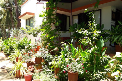 Stilmix Garten in Chennai