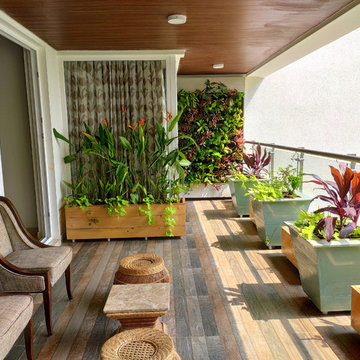 Todi's Balcony Garden
