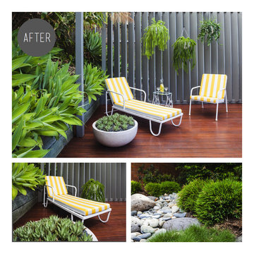 Toowong - Palm Springs Inspired Courtyard