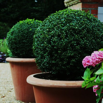 Topiary & Clipped Planting In the Garden