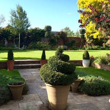 Topiary on a budget - traditional town garden