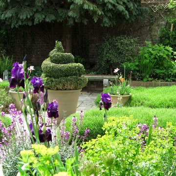 Topiary on a budget - traditional town garden