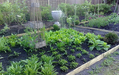 What You Can Do Now to Prepare Your Garden for Winter