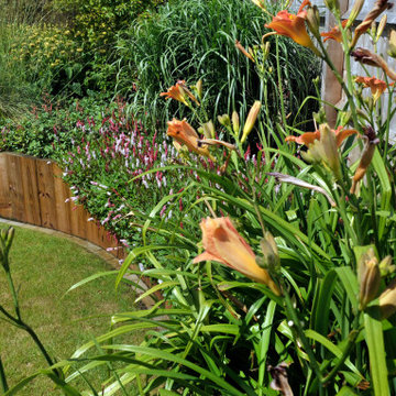 Transitional Garden Gloucestershire