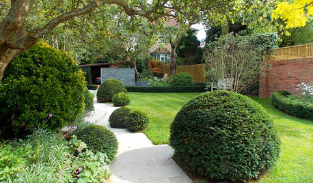 Where to Save Money on a Garden Renovation