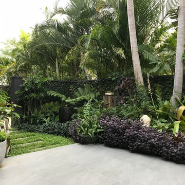 Tropical Backyard