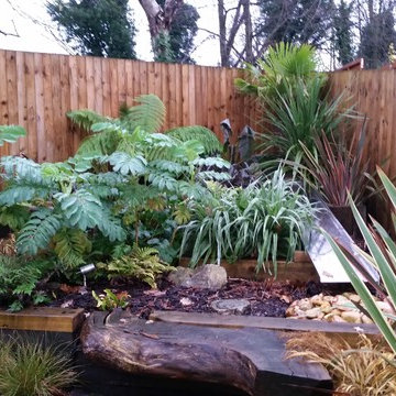 Tropical garden and water feature