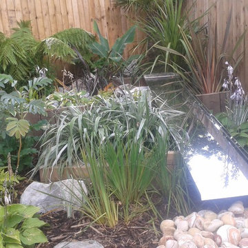 Tropical garden and water feature