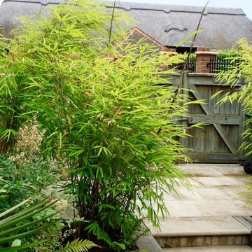 Tropical Garden Courtyard Gardens: Kent