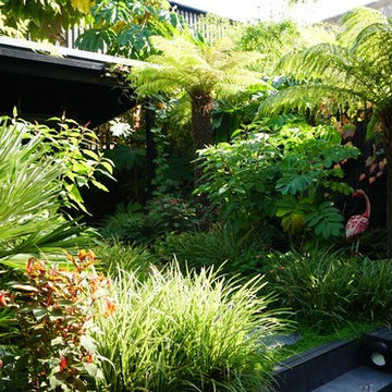 Tropical Garden
