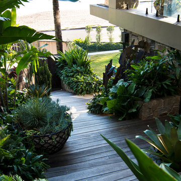 Tropical Garden - Palm Beach