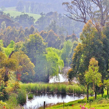 Turtle Ridge Lifestyle Property &  Revegetation