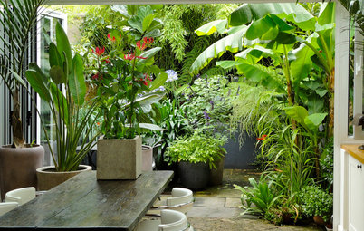 Houzz в саду: Тропический сад в Лондоне — всего 32 кв.м