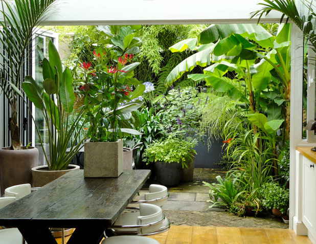 トロピカル 庭 by antonia schofield garden design