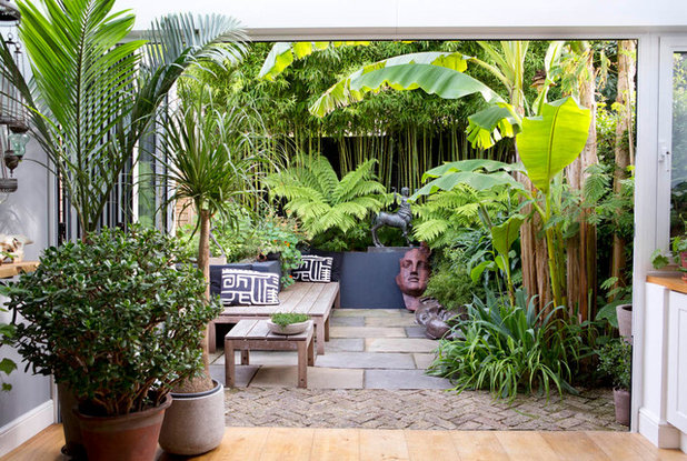 Contemporary Garden by antonia schofield garden design