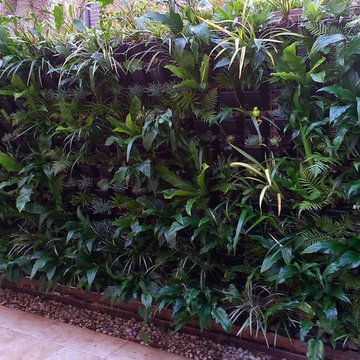 Vertical garden when completed and a year later