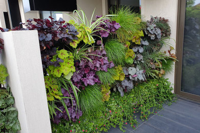 Photo of a garden in Melbourne with a living wall.