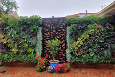 Inspiration for a garden in Melbourne with a living wall.