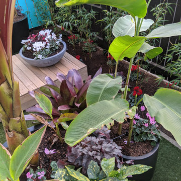 Vibrant Tropical Courtyard